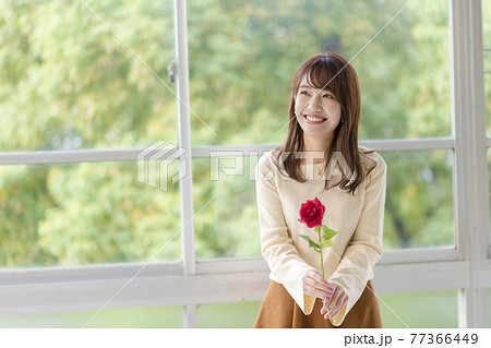 窓辺で薔薇を1輪持ち立っている若い女性 窓辺で薔薇を1輪持ち立っている若い女性 77366449