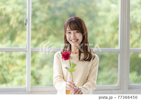 窓辺で薔薇を1輪持ち立っている若い女性 77366450