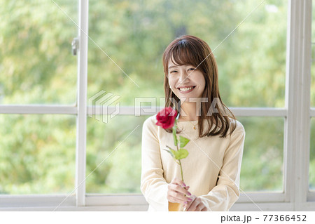 窓辺で薔薇を1輪持ち立っている若い女性 77366452