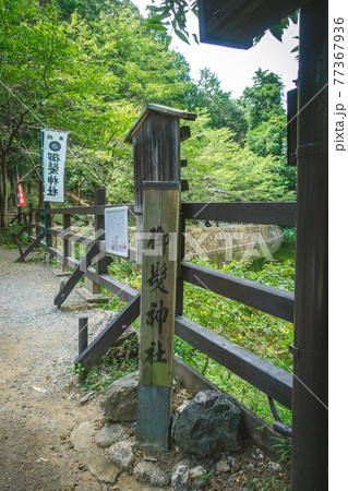 京都、嵐山にある御髪神社の参道と小倉池の夏景色 77367936
