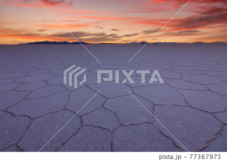 Sunset at Salar de Uyuni, Aitiplano, Bolivia. 77367975