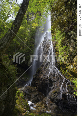 御船の滝（奈良県吉野郡川上村） 77368107