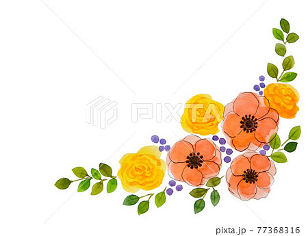 アネモネ バラ 黄色 オレンジ 花 手描き 透明水彩 きれい イラスト コーナー フレームのイラスト素材