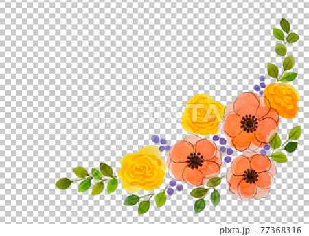 Anemone rose yellow orange flower hand-painted transparent watercolor beautiful illustration corner frame Anemone rose yellow orange flower hand-painted transparent watercolor beautiful illustration corner frame 77368316