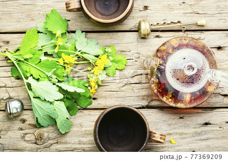 Medicinal herb celandine,wooden table 77369209