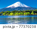 《山梨県》初夏の富士山・河口湖湖畔の眺め 77370238