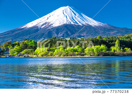 《山梨県》初夏の富士山・河口湖湖畔の眺め 77370238