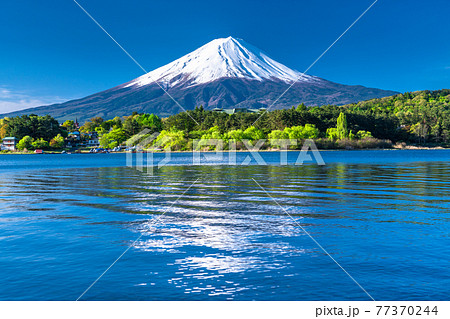 《山梨県》初夏の富士山・河口湖湖畔の眺め 《山梨県》初夏の富士山・河口湖湖畔の眺め 77370244
