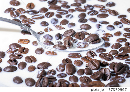 Spoon dipped in milk with coffee beans. Spoon dipped in milk with coffee beans. 77370967