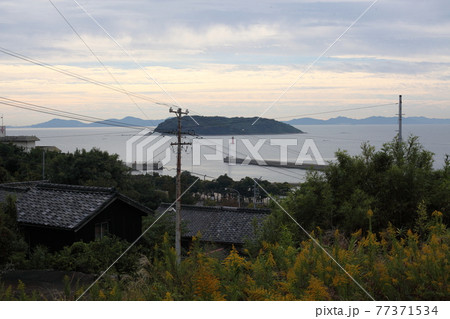 高台から見下ろす三河湾と梶島 77371534