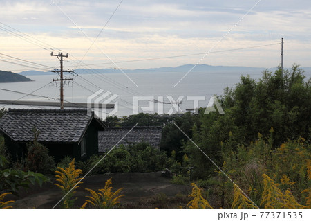 高台から見下ろす三河湾と梶島 77371535
