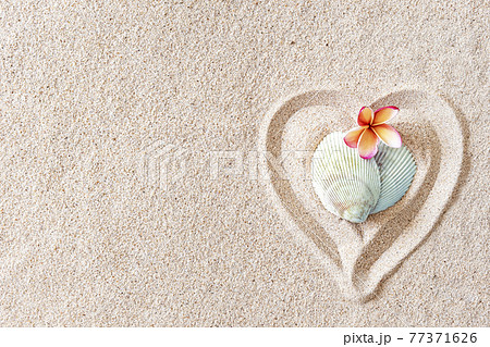 Two seashells in the shape of a heart on a smooth sandy beach with copy space, top view Two seashells in the shape of a heart on a smooth sandy beach with copy space, top view 77371626