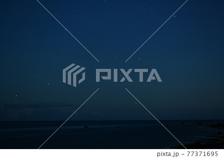 南十字星 77371695