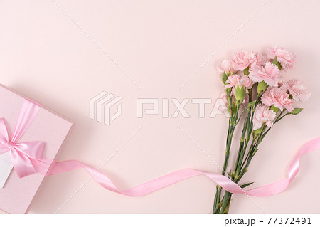 カーネーション ハマナデシコ ギフト 77372491