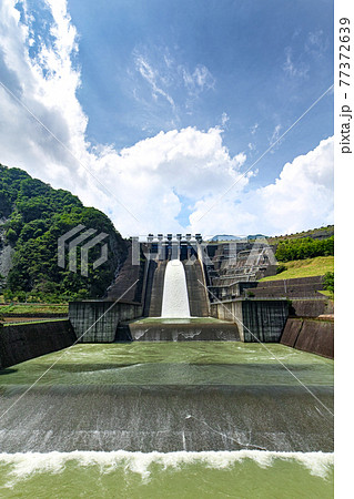 神奈川県/ 放流する夏の三保ダム 77372639