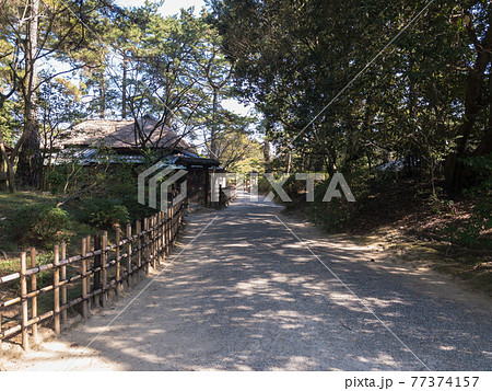 早春の栗林公園 77374157