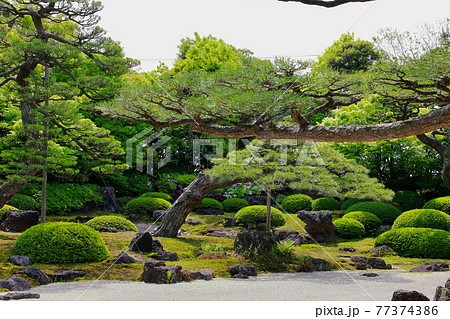 日本庭園の枯山水 77374386