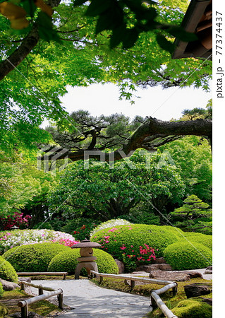 日本庭園の小道 77374437