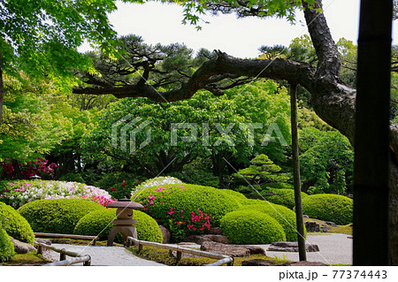日本庭園の小道 日本庭園の小道 77374443