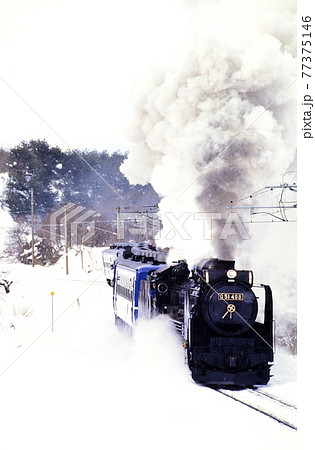 1998年　雪の磐越西線を行くD51498SL磐梯会津路号 77375146