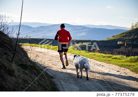 man running in spring landscape man running in spring landscape 77375279