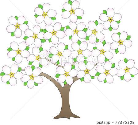 花盛りのリンゴの木のイラスト素材