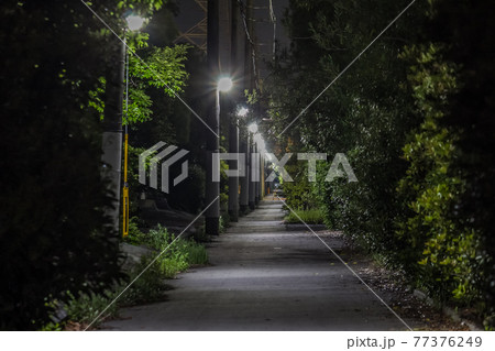 工場地帯の人気のない細長い夜道 77376249