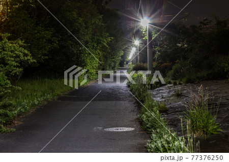 工場地帯の人気のない細長い夜道 77376250