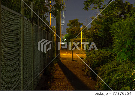 工場地帯の人気のない細長い夜道 77376254