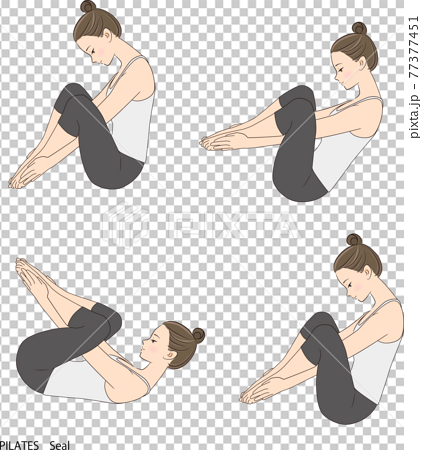 Pilates sequence, seal - Stock Illustration [77377451] - PIXTA