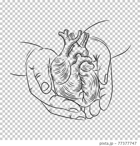 HEART IN HANDS Health Symbol Medicine Human Hand Drawn Monochrome Vector Illustration Print Set HEART IN HANDS Health Symbol Medicine Human Hand Drawn Monochrome Vector Illustration Print Set 77377747