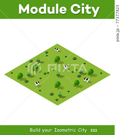 Isometric Natural Ecological 77377825