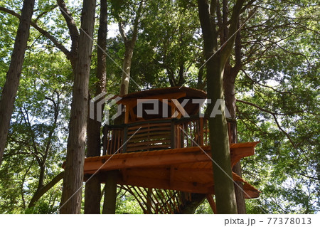 市民の森のフィールドアスレチック 茅ヶ崎市 市民の森のフィールドアスレチック 茅ヶ崎市 77378013