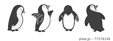 penguin cartoon characters in different poses set penguin cartoon characters in different poses set 77378148