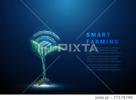 Green plant sprout with blue wi-fi symbol 77378790