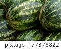 Ripe watermelons sell fresh produce on the market. 77378822