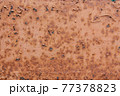 Texture of rusty metal surface, close up 77378823