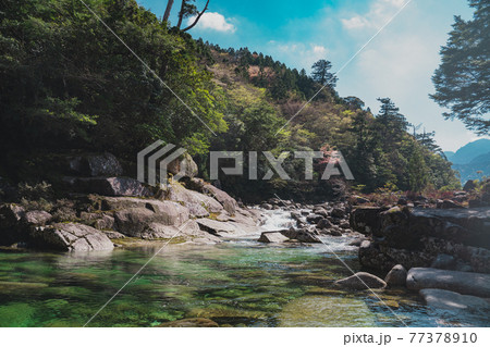 山桜が咲いた屋久島の隠れ絶景スポット 77378910