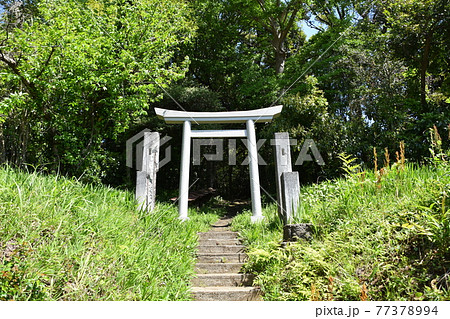 茅ヶ崎市市民の森にある祠 茅ヶ崎市市民の森にある祠 77378994