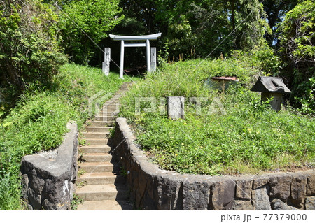 茅ヶ崎市市民の森にある祠 77379000