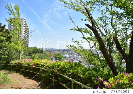 茅ヶ崎市北部から見た展望風景 茅ヶ崎市北部から見た展望風景 77379001