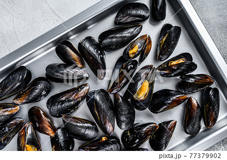 Raw blue mussels shells in kitchen steel tray. White background. Top view Raw blue mussels shells in kitchen steel tray. White background. Top view 77379902
