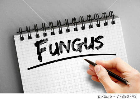Fungus text on notepad, concept background 77380745