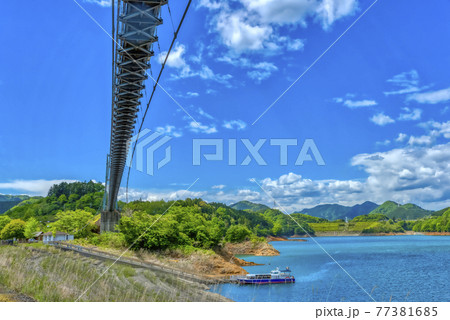 春の宮ケ瀬ダム湖　吊り橋と遊覧船　神奈川県 77381685