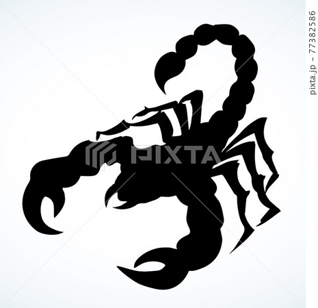 Dangerous insect. Scorpion. Vector drawing 77382586