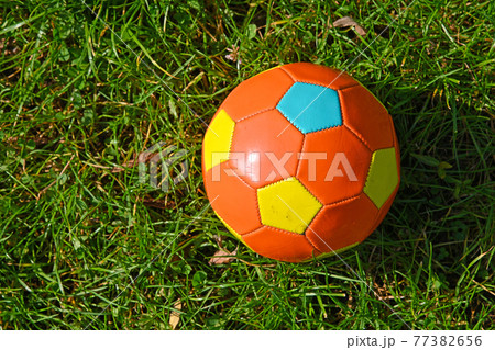 Football ball in green grass of meadow 77382656