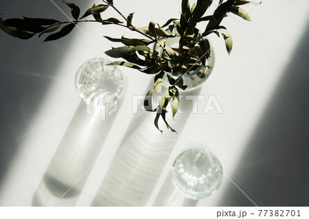 A glass vase with a green plant and two glasses of water on a white table. A glass vase with a green plant and two glasses of water on a white table. 77382701