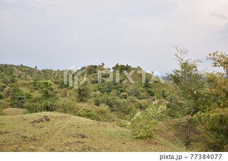 mountain with green grass and beautiful sky 77384077