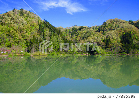 麻生の渡し・只見川 （福島県・柳津町） 77385598