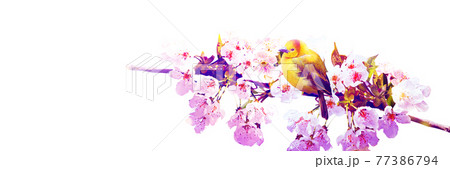 Great tit sitting on a tree branch in spring weather 77386794